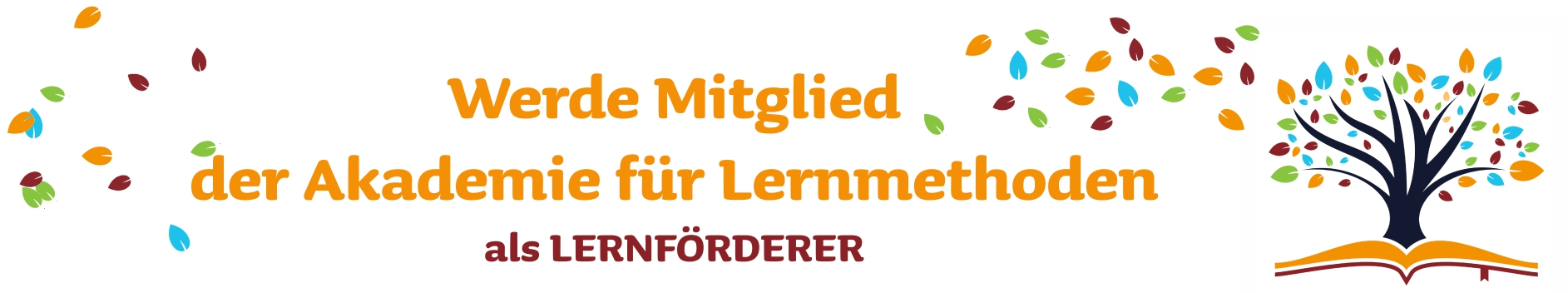 Banner_Mitgliedschaften_Lernförderer_LP2